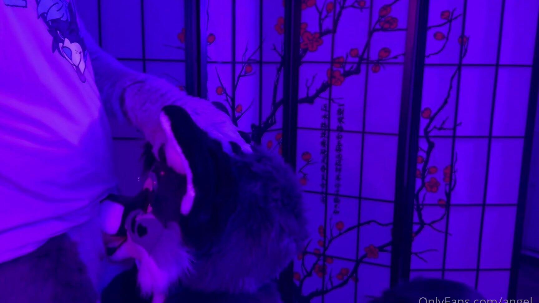 Angel Pups 1125461462 Raven Knew What She Wanted She Had No Problem Pulling Storm 01 0Hqu4Yt8Ao6Qcyzfjrwpi Source