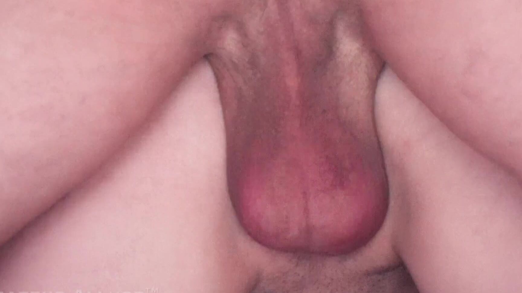 Cum, Ass, Cum Swallow, Ball Sucking, Ball Lick, Face Fuck, Deep Throat, Cumshot, Doggystyle, Cum in Mouth, No Hands, Swallow, Girls Giving Blow Jobs, Doggie Style, Oral, Doggiestyle, Handjob, Cowgirl, POV, Spinner, Petite, CFNM, Missionary, Blonde, B