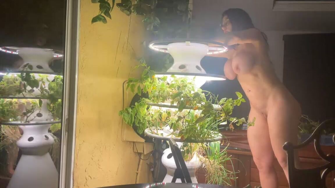 Kittibelle Kitti Garden I Had To Take Apart My Hydro System To Reattached Certain Section Of