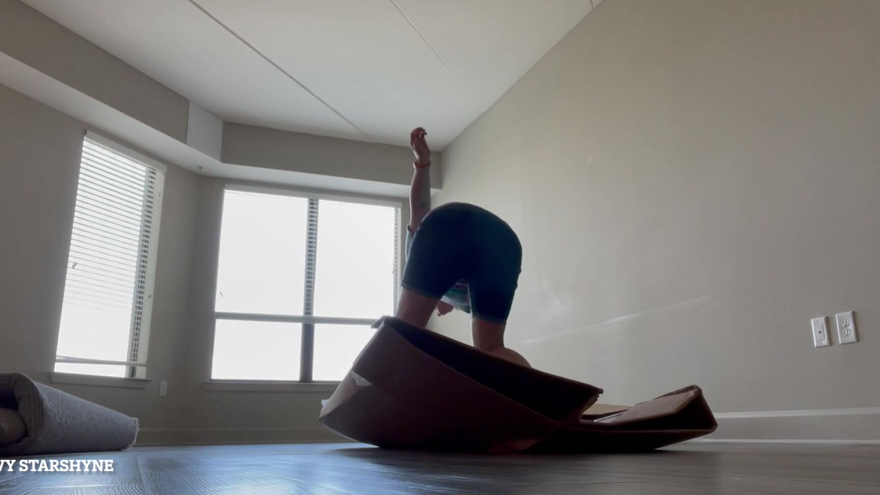 Ivystarshyne Stomping A Big Fat Box