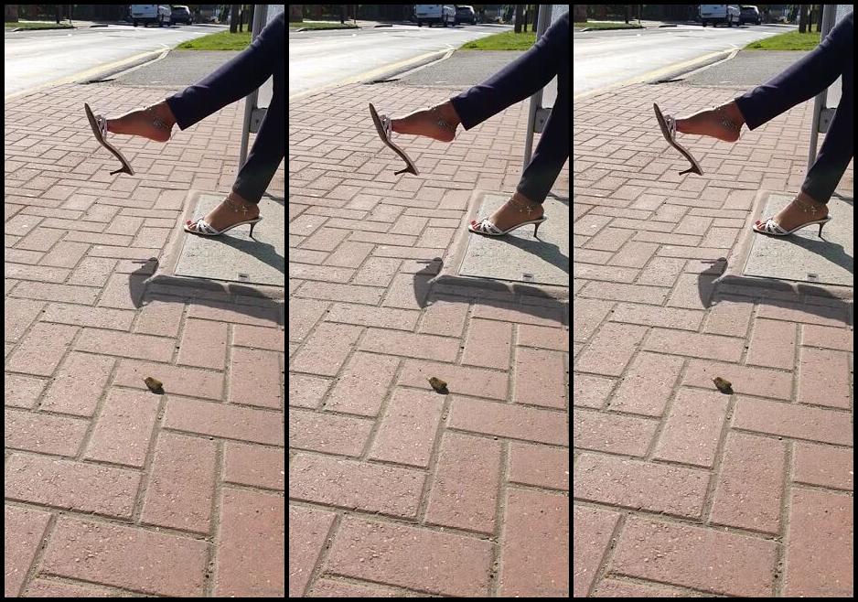 Feetbysherri Onlyfans Bus Stop Vibes