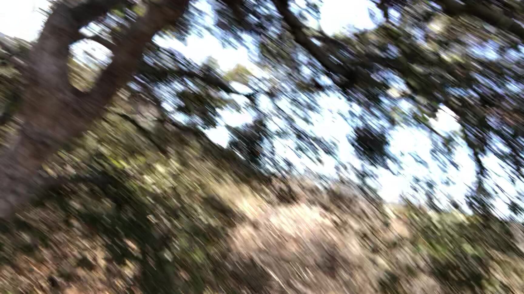 Sevyan Harden Got A Stranger To Give Me Head On A Hike Manyvids