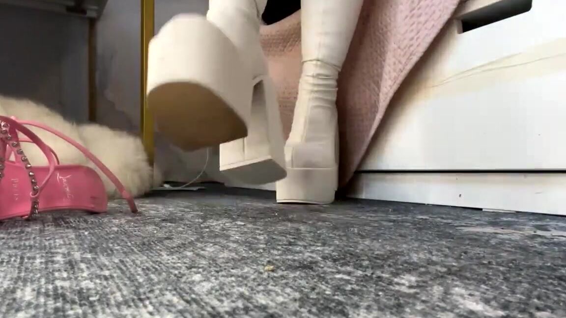 Goddess Bella Aka Thecruelmistress 01 17 2025 Onlyfans Video Stream Started At 01172025 0812 Amp