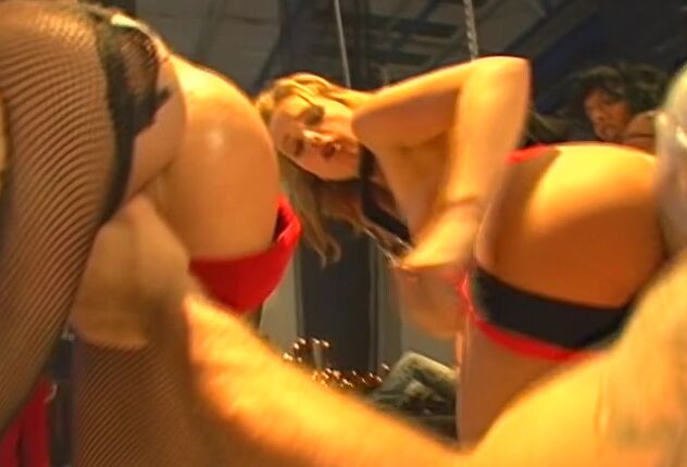 "Kathia Nobili, Cecilia Vega, Dorina Golden, Loona Luxx, Stephanie Lahay, Cayenne Klein, Madison Parker, Laura Picasso, Black Angelika, Britney, Sofia Valentine, Camilla Ken, Mike Angelo, Zenza Raggi, Michael Chapman, Eric Leroi, Matt Bird, Nico Blad