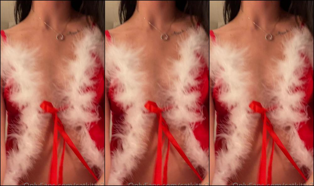 catkitty21-25-12-2020-1514572359-happy-holidays-hope-you-all-have-a-nice-rest-of-the-year-whether-you-celebrate-anything