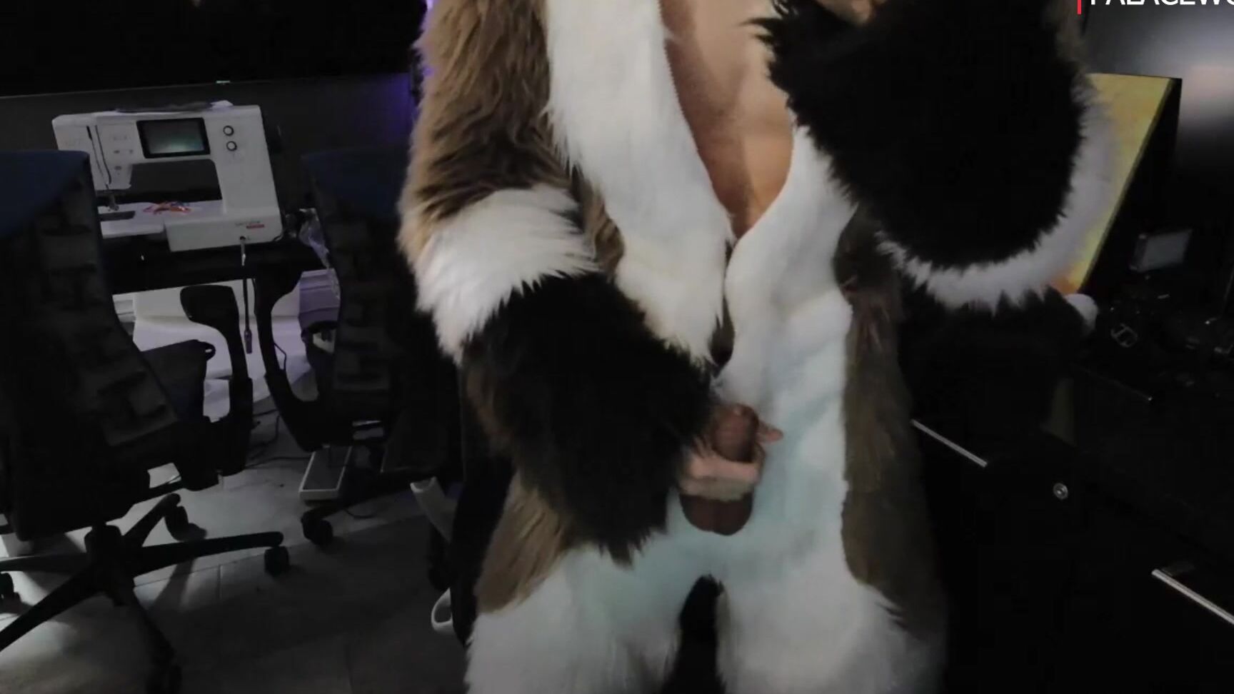 Palacewolf 1457511026 Live Stream Announcement Doing A Live Stream On Jan 01 0Hx0Sz2C0Azv2Hj9Vve5V Source