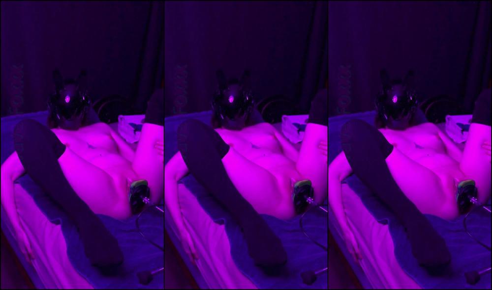 Synthwavefoxxx Hfchisterjszyw Cuedi Source