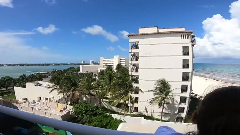 Pinko Enterprises Frame Leaks 9