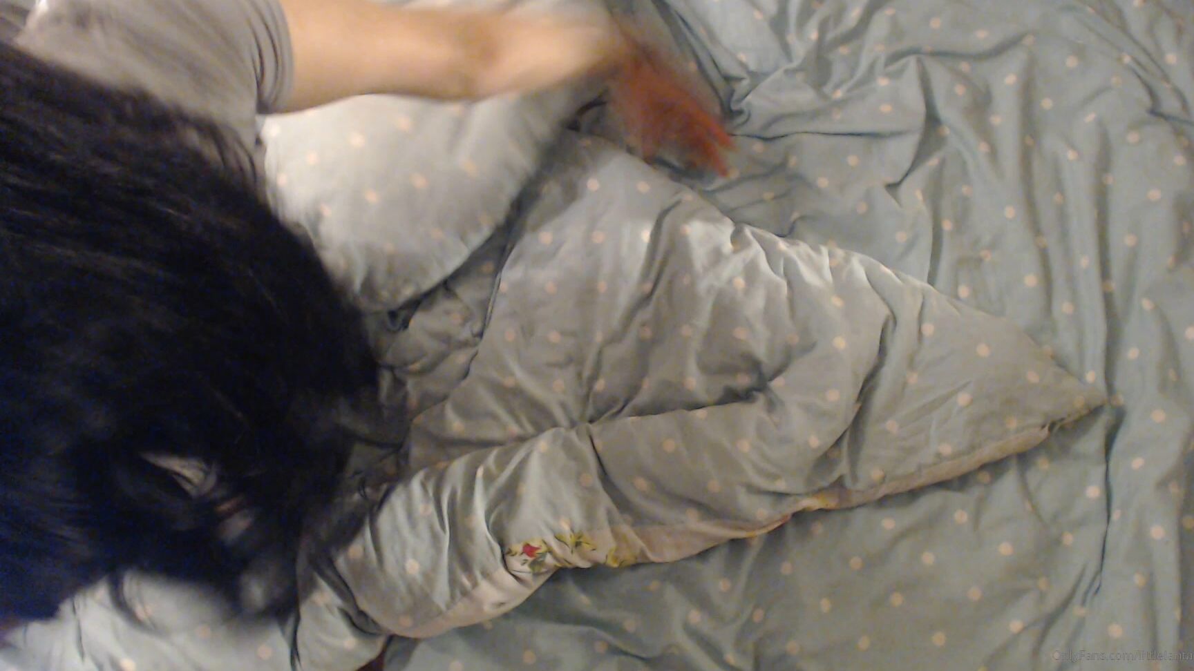 Littlelanta Your Lil Gymnast