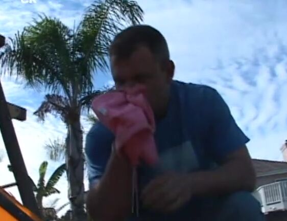 Disposable Pleasures