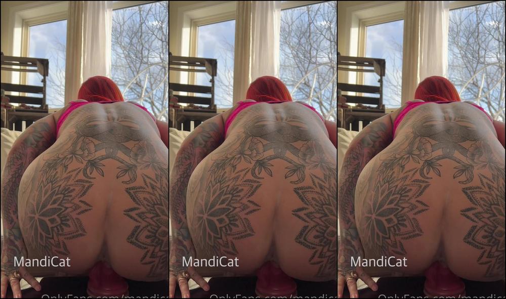 Mandicat Free Video Following Off From Last Weeks Video I Found One Of My Favourite Toys To Fuc