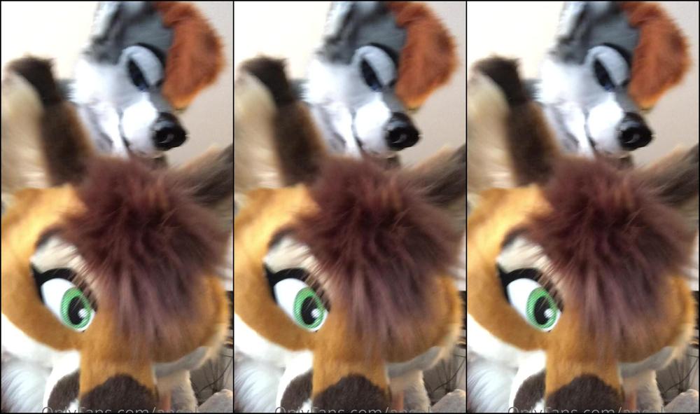 Angel Pups 146126165 I Can T Get Enough Of This Vixen 01 D421Ba1E De3E 4495 9F40 3838A1E39Ae2