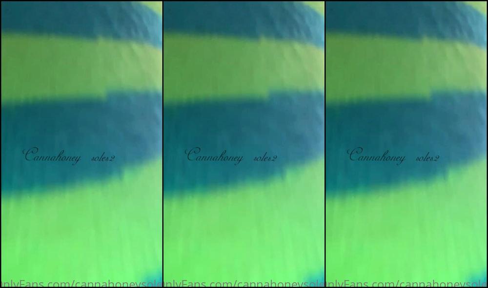 Cannahoneysoles I Want To Play With You I Won T Hurt You