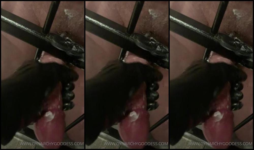 Goddess Gynarchy Ubber Glove Edging Edging Rubber Latex Gloves