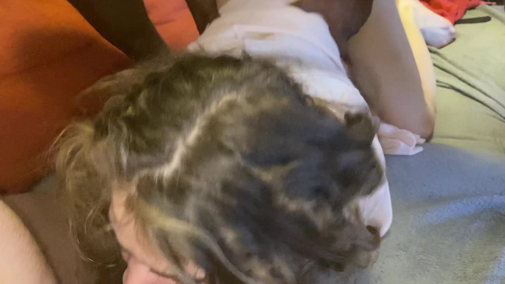 Lutro So Cute Blowjob