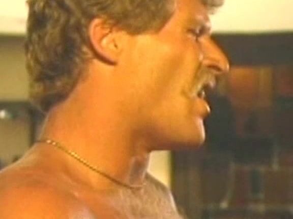 "Erica Boyer, Keisha, Ronnie Dickson, Stacey Donovan, James Miles, Randy West, Ted Wilson, William Howell" Classic Seduction of Jennifer Filmco Releasing