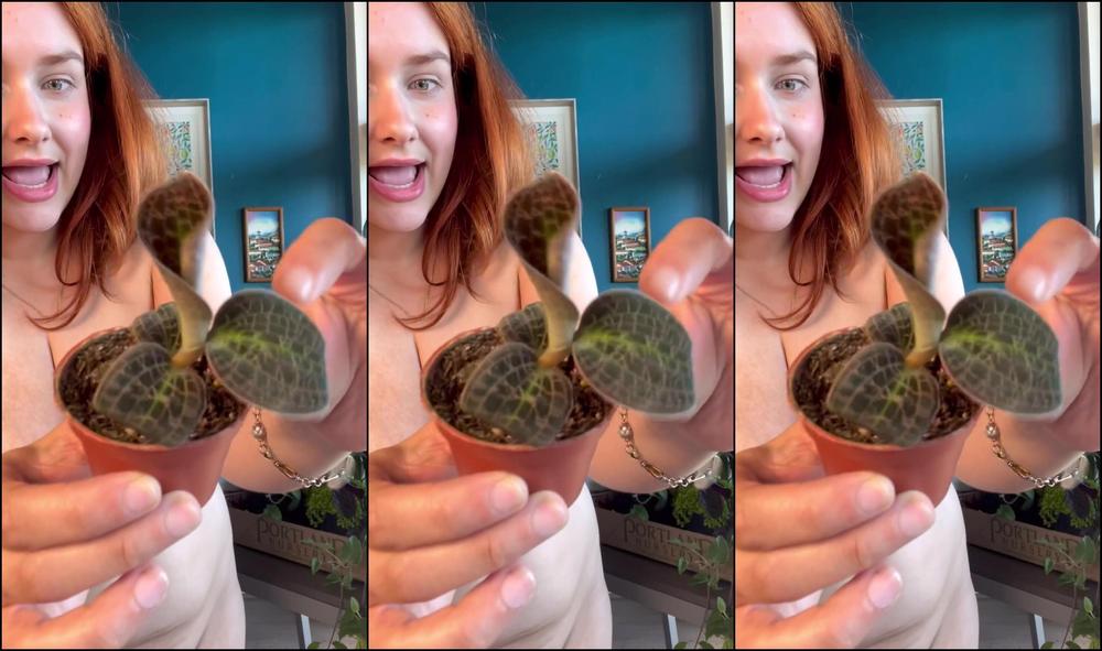 Nixxxie 2956910141 07 26 2023 Plant Haullll I Went To The Garden Center In The Big City And They Had