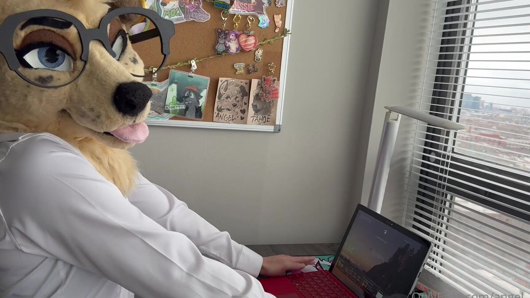 Angel Pups 1473029638 Sneak Peek Of This Weeks Full Video 01 0Hxbsfryy4I9L92Ir2Egz Source