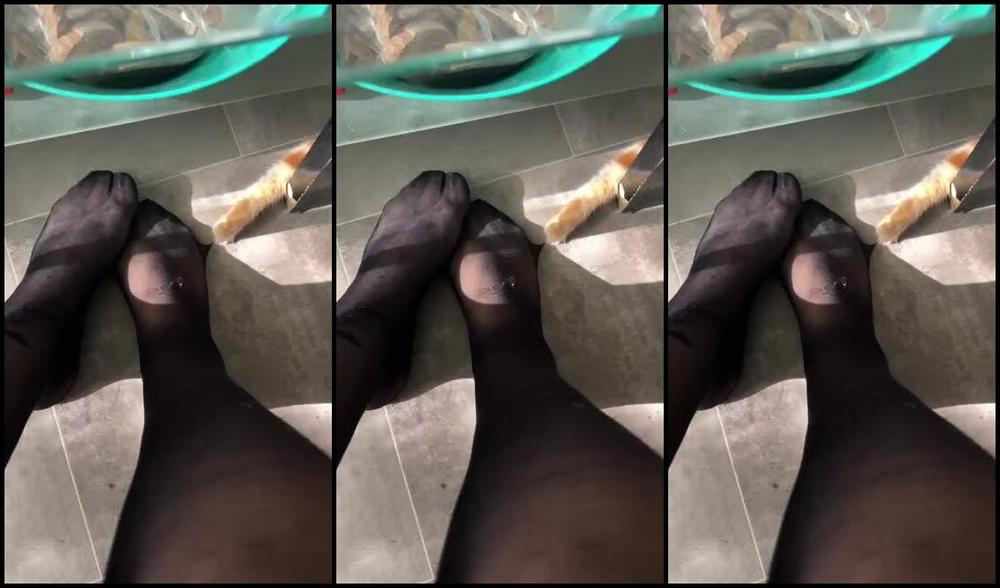 Gia S Feet Nicknamed Footsiebab 10 24 2023 Onlyfans Video Want To Be Kitty Desiring My Feet In Nylons