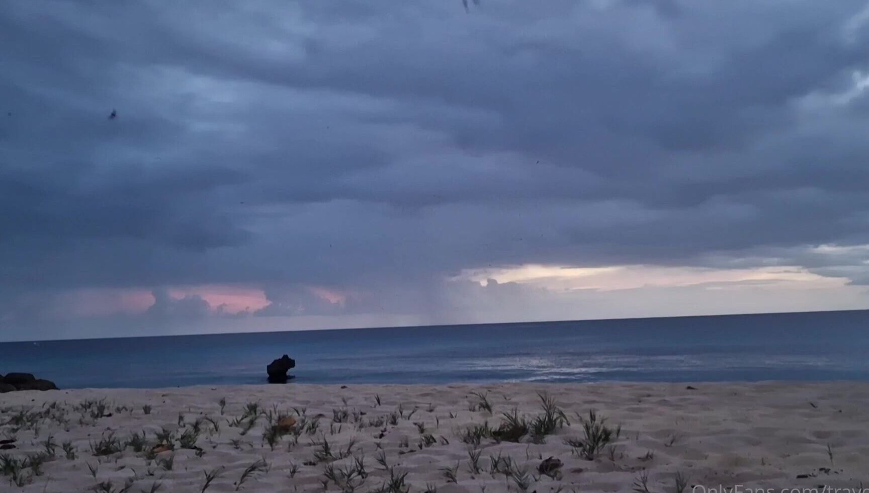 Travelling Peach 2840790788 04 16 2023 This Really Was All About The Bat S Flying Around So Many