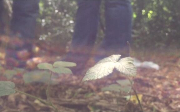 Outdoor Public Blowjobs, Public Outdoor, MILF, Cum Swallowers, Voyeur shooting star4u forrest fuk afan 2 cumshot cim swallow ManyVids