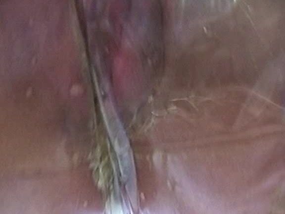 Pee, Shower, Shower Scenes, Big Tits amateur girls fucked princess takes a shower ManyVids