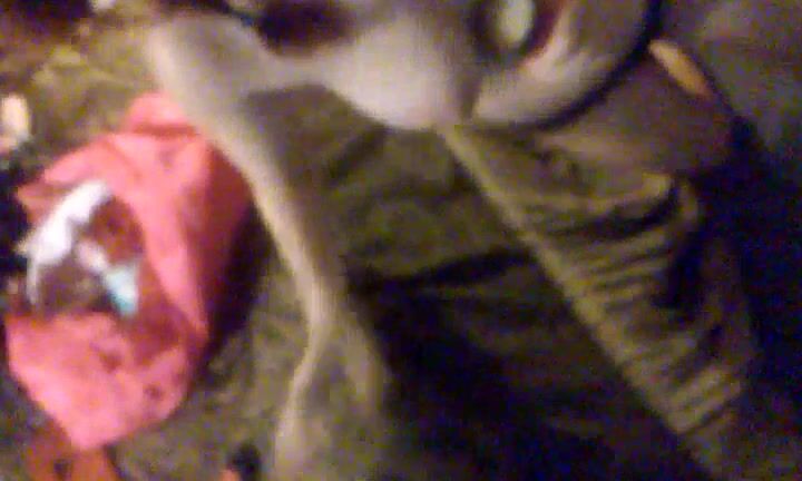 Lilith Amaraa Blowjob With Cumshot