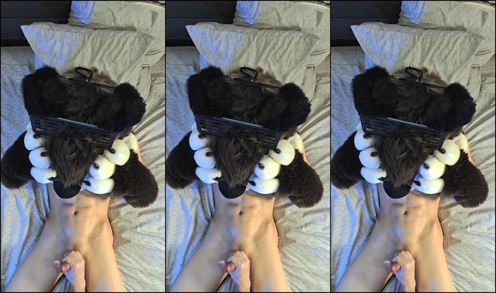 Palacewolf 1033240550 Full Video 16M34S How S The View Top Down Angle Of 01 0Hoytft3491Cn42Jb255F Source