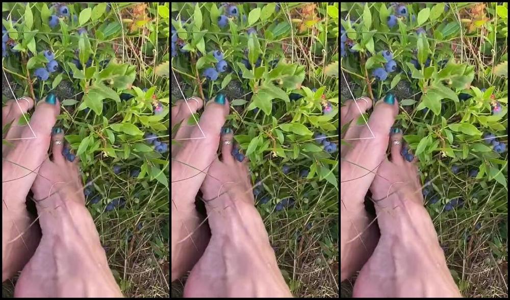 Lezlyan Nicknamed La Little Dancer Feet Onlyfans Watching Me Pick And Squish Blueberries With My Feet Is Sight To Behold A