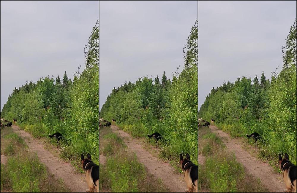 Allie Zeon Introducing Salisbury Rural I M Willing To Compromise With