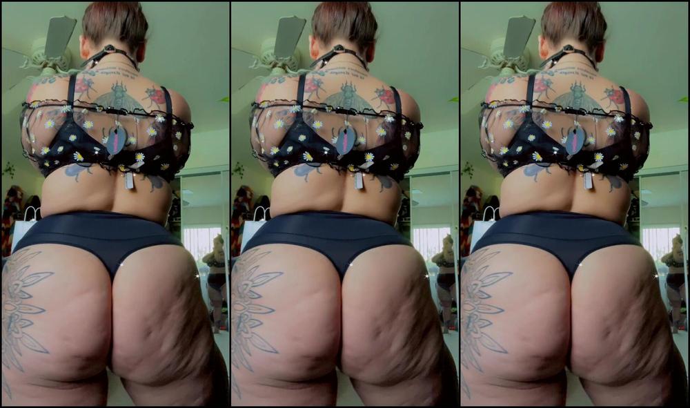 Amermaidrenegade 3373637543 06 24 2024 1133599741