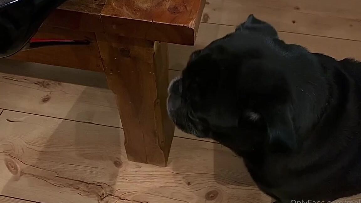 Malivisia Nicknamed Malivisia Onlyfans 11 30 2022 Upps