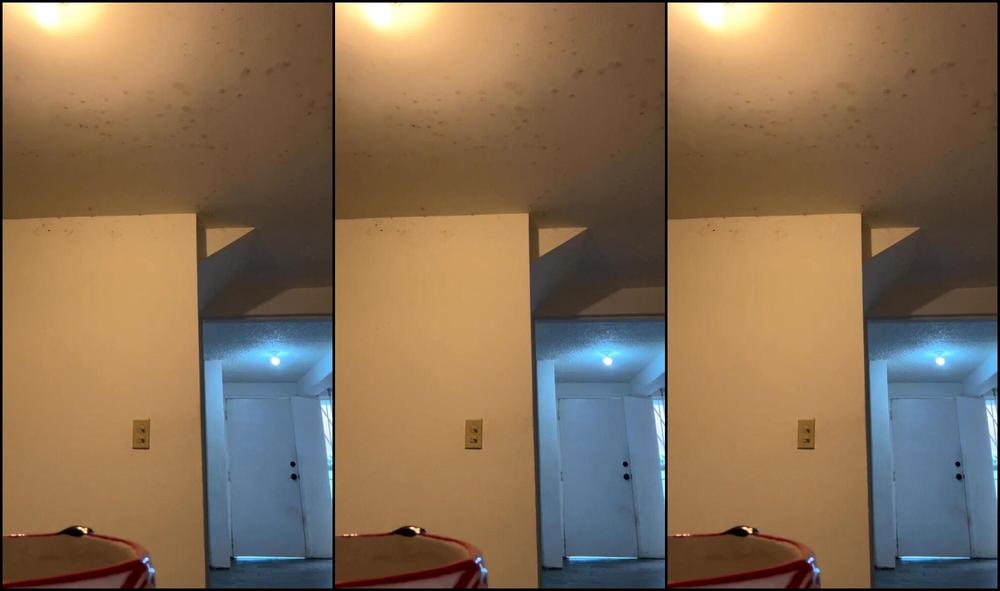 Princessdoris 3606626180 12 14 2024 Stream Started At 12142024 0317 Pm