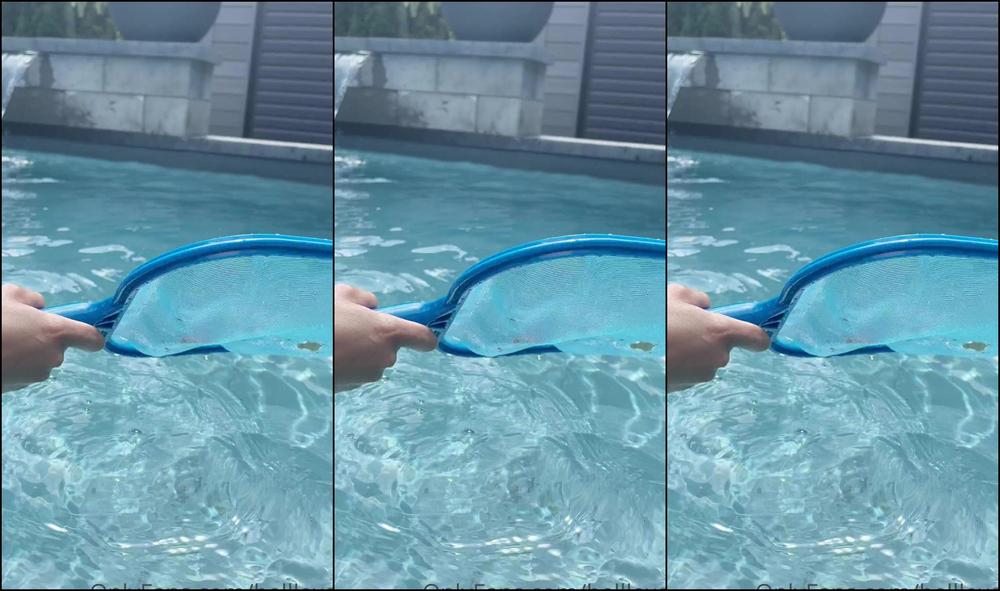 Belllexox 2155041318 07 08 2021 Want Me To Clean Your Pool Pay Me In Nature Is That A Deal
