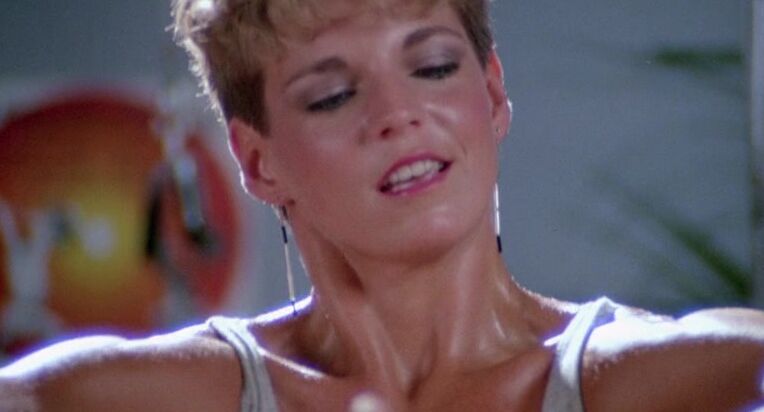 "Desiree Lane, Erica Boyer, Hyapatia Lee, Lonnie Emerson, Robin Everett, Shanna McCullough, Tigr, Bud Lee, Eric Edwards, Francois, Gary Eberhart, Martin Cary, Mike Horner, Rocky Balboa, Nick Niter, Rich Ryder" Feature Body Girls Caribbean Films / Vin