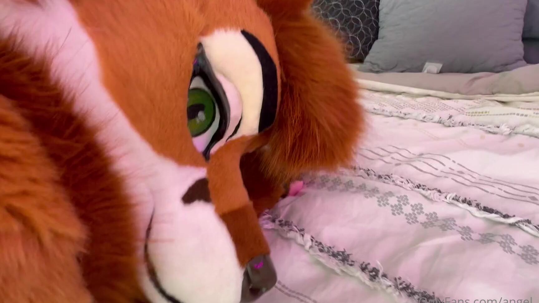 Angel Pups 1186946149 Sneak Peek At Some New Mocha Content In The Works 01 0Hs26Mtpwapgq3Ilvzy7L Source