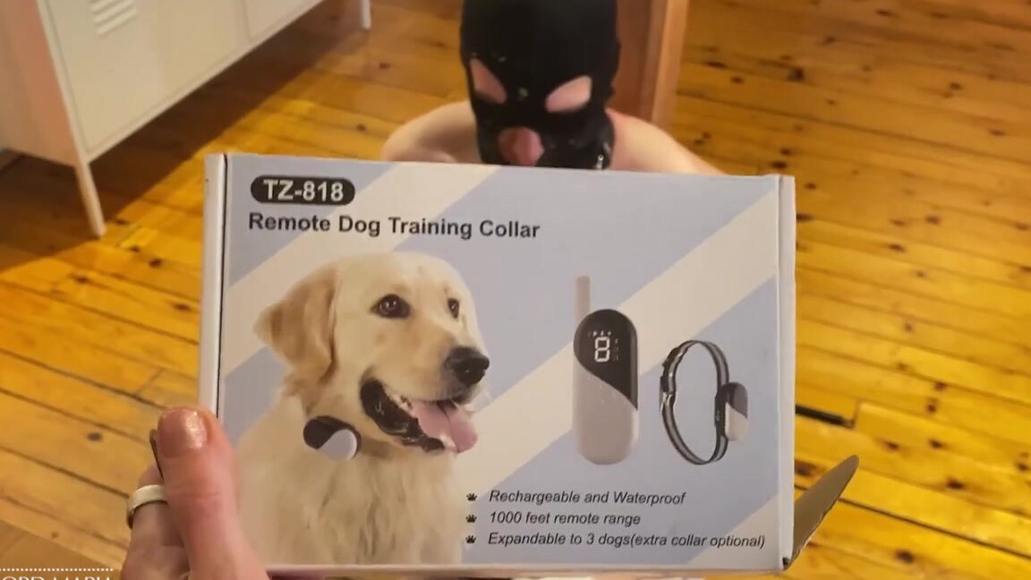 Lord Goddess Maria Onlyfans Cuckold Shock Therapy Part I Im On Vacation This Week So Youre Going To Have To Enjoy This Postp