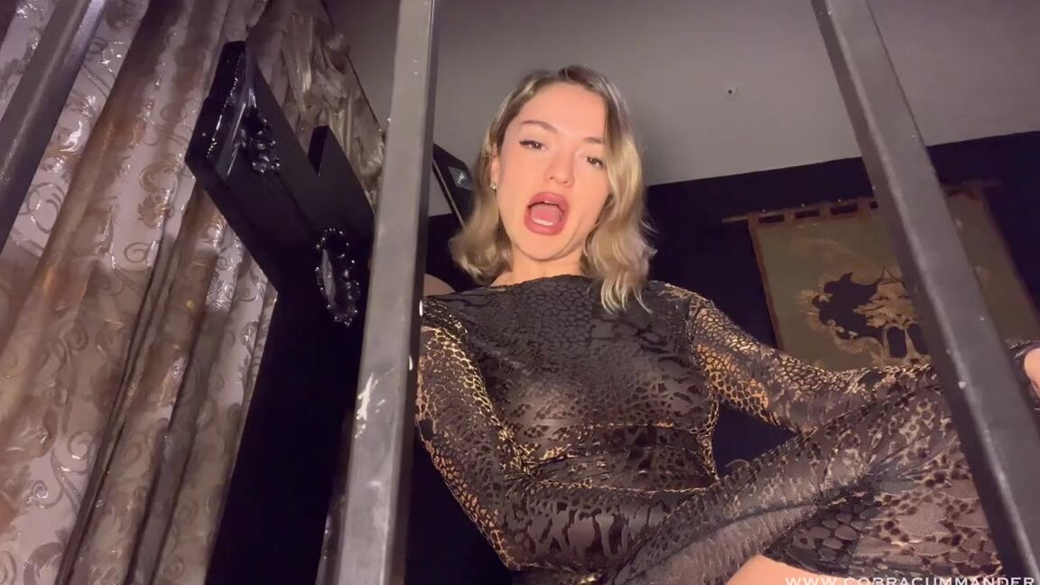 Cobracummander Onlyfans Patriarchy Is A Myth Femdom Worship Pov Beta Male Mass Extinction The Patriarchy Never Existed