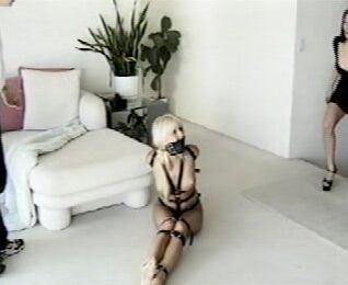 "Tyler St. James, Gina Ciachetti, Karie Almond, Minorka Amon" BDSM, Bondage DW-03 Roommates Revenge Dominic Wolfe Enterprises