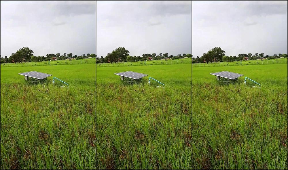 Newcythaislut Take The Fan On Tour Together At A Restaurant Near T