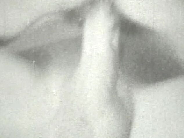 "Mix" Retro, Classic, Sex, Erotic Bucky Beaver's Stags Loops And Peeps  064 Something Weird Video