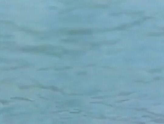 Transsexual, Blowjob, Shemale, Hardcore, Bareback, Retro, Cumshot Herr Liche Damen Videorama