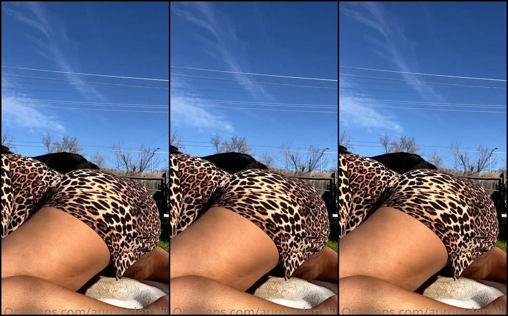 Denalii96 2359217851 02 10 2022 270973046