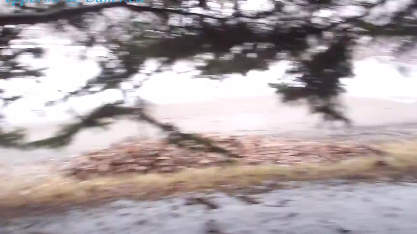 O Pepper O Mastreebation