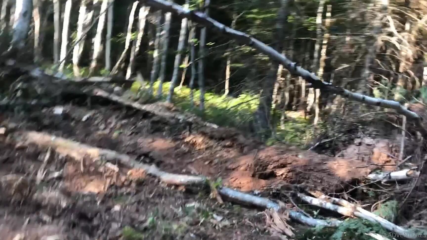 lladventures-14-09-2020-892464518-another-good-time-scheduling-this-upload-last-week-and-only-realizing-now-it-didn-t-work