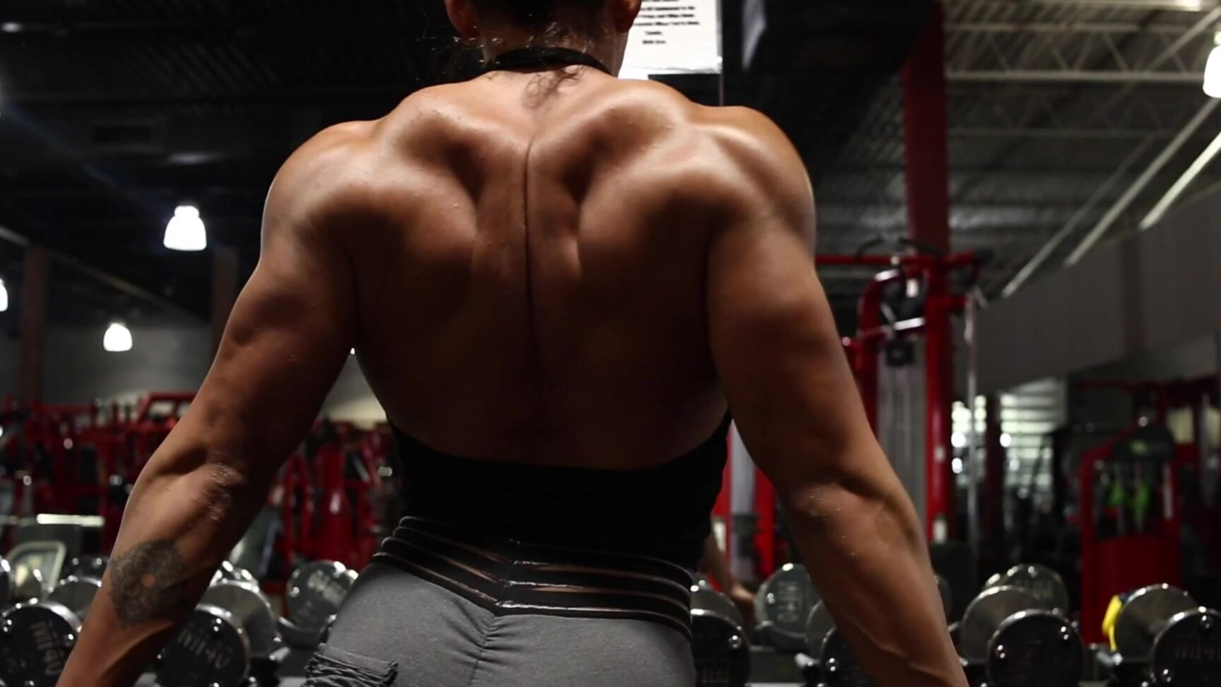 Lexa Stahl Big Back Compilation During Some Push Training And A Tiny Peek At Some Back Leg And Arms