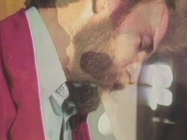 "Bill Margold, Drea, Jerry Davis, Mark Harris, Pat Manning, Shaun Michelle" Classic Sheer Delight VCA