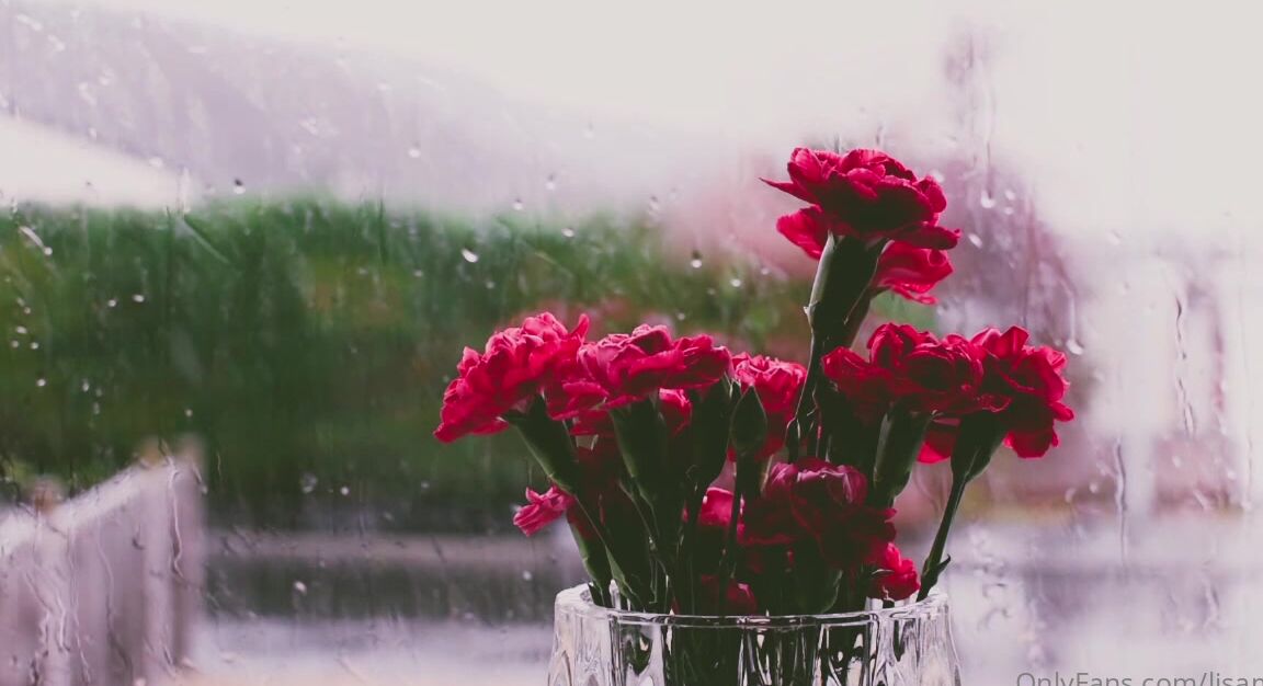 Lisamaus Neues Asmr Video New Asmr Video