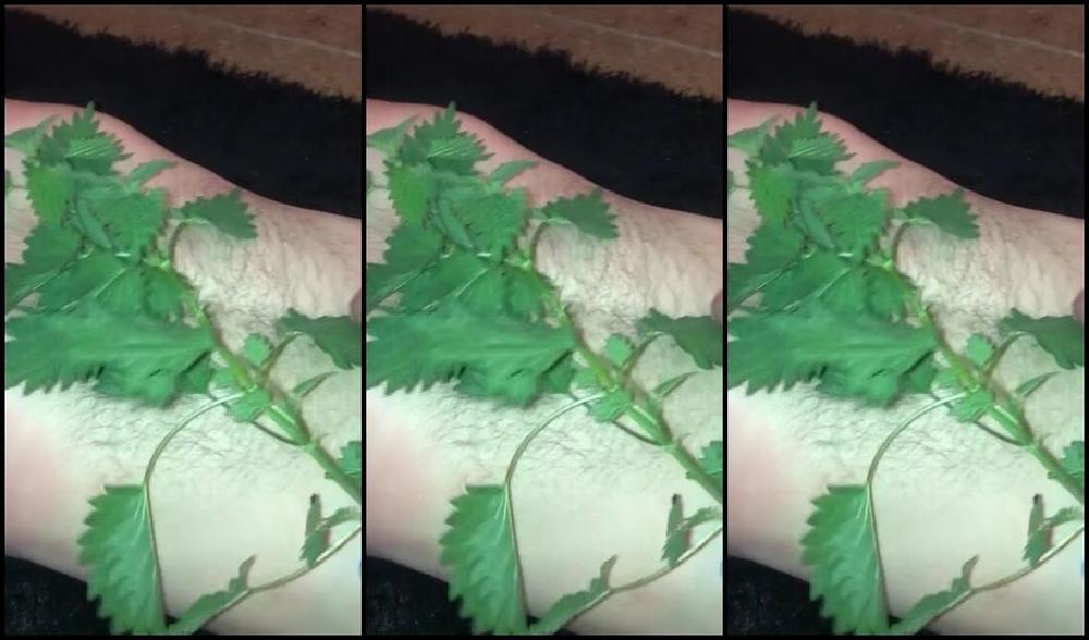 Ladydarkangeluk Onlyfans Some More Nettle Play You Did Awesome Sub Jim X For Just 10 A Month You Can See All Clips And Vide