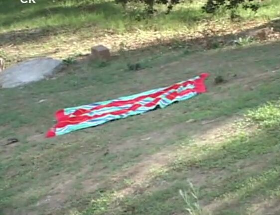 Car Strangled Disposed